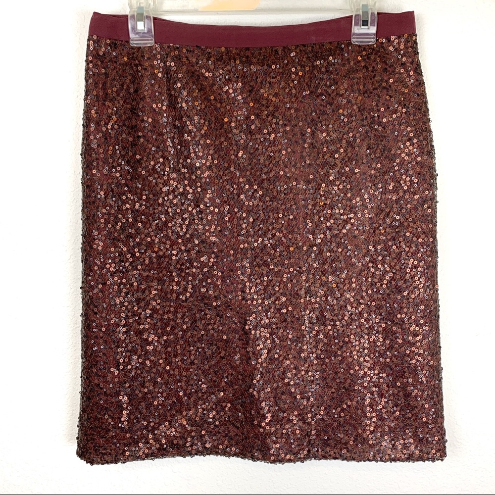 J. Crew sequin skirt women’s size 6
